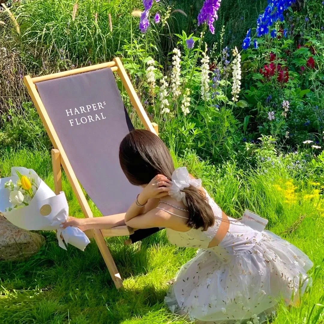 重回2000创科技霸业